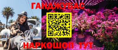 гашик Нягань